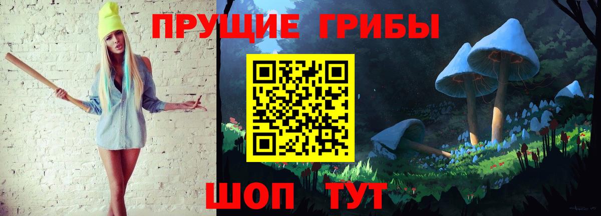 Галлюциногенные грибы Psilocybine cubensis Муравленко