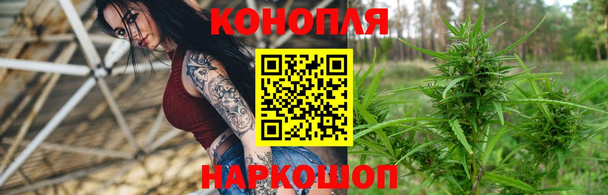Каннабис индика Муравленко